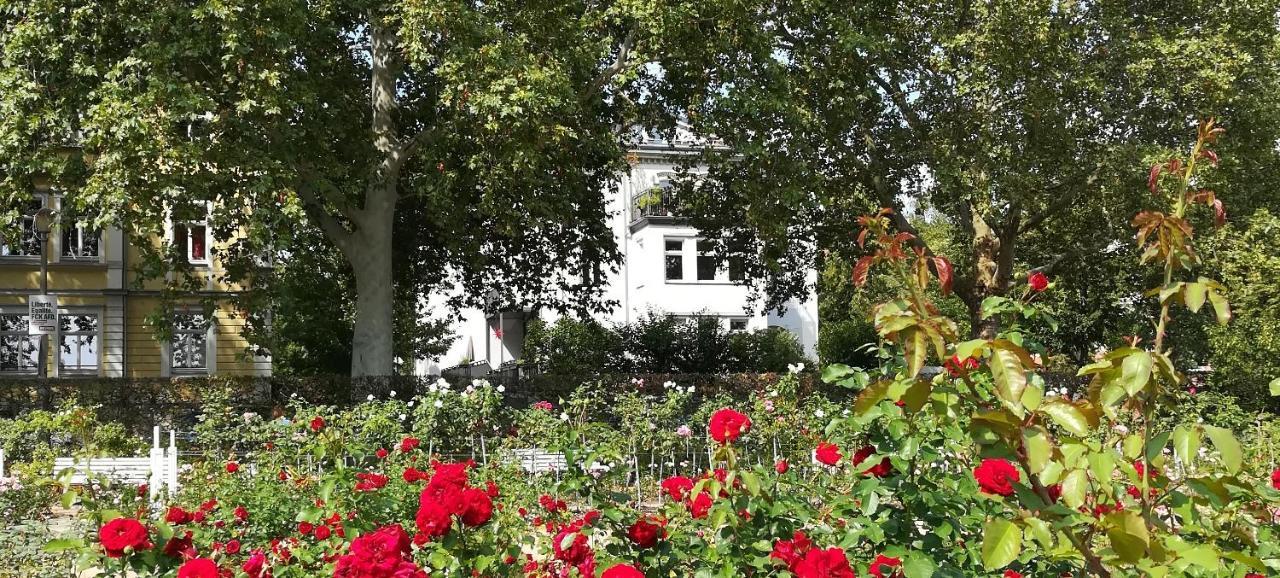 Faehrhaus Meissen B&B Exterior photo